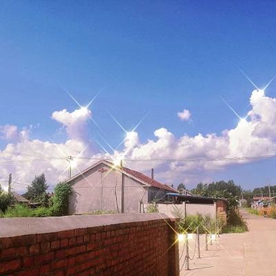 成长的火精灵手游下载